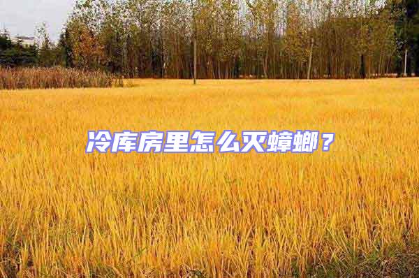 冷庫房里怎么滅蟑螂?