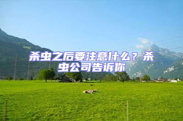 殺蟲之后要注意什么?殺蟲公司告訴你