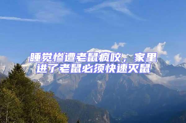 睡覺慘遭老鼠瘋咬,家里進了老鼠必須快速滅鼠