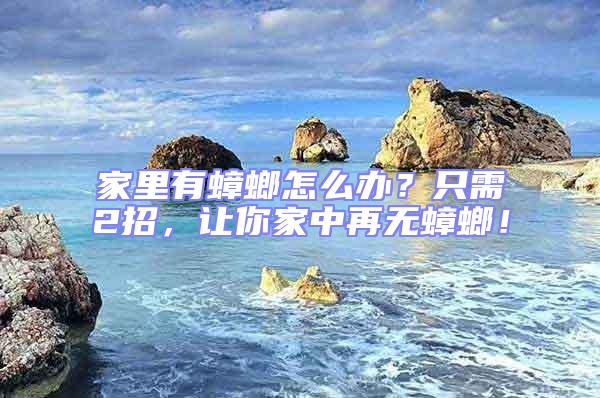 家里有蟑螂怎么辦?只需2招,讓你家中再無蟑螂!