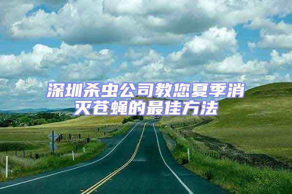 深圳殺蟲(chóng)公司教您夏季消滅蒼蠅的最佳方法