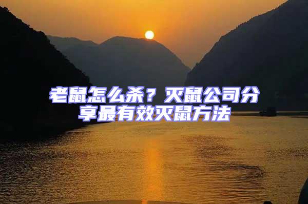 老鼠怎么殺？滅鼠公司分享最有效滅鼠方法