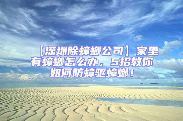 【深圳除蟑螂公司】家里有蟑螂怎么辦,5招教你如何防蟑驅蟑螂!