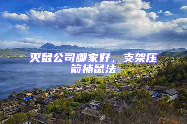 滅鼠公司哪家好，支架壓箭捕鼠法