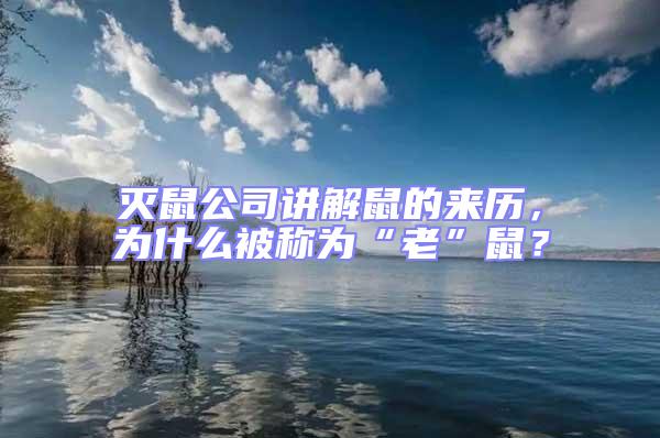 滅鼠公司講解鼠的來歷，為什么被稱為“老”鼠？