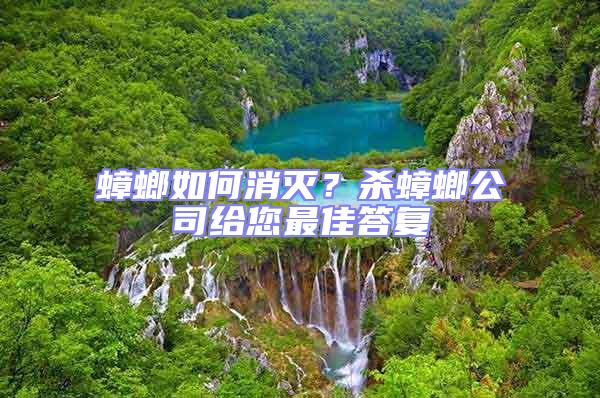 蟑螂如何消滅?殺蟑螂公司給您最佳答復