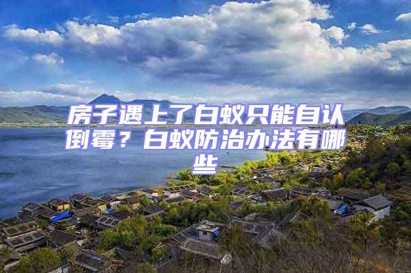 房子遇上了白蟻只能自認(rèn)倒霉?白蟻防治辦法有哪些