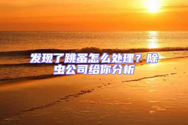 發現了跳蚤怎么處理?除蟲公司給你分析