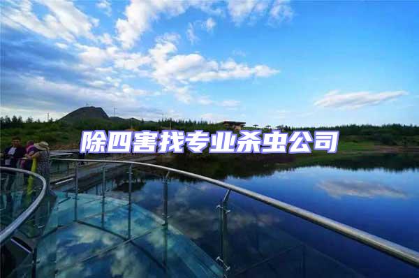 除四害找專業(yè)殺蟲公司