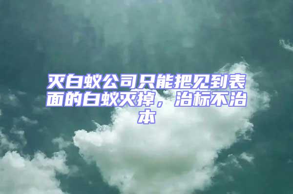 滅白蟻公司只能把見到表面的白蟻滅掉，治標不治本