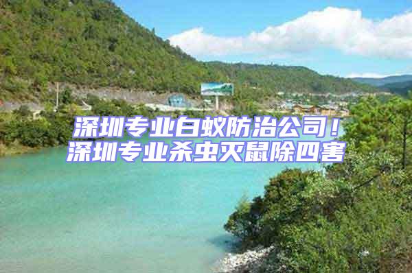 深圳專業(yè)白蟻防治公司!深圳專業(yè)殺蟲滅鼠除四害