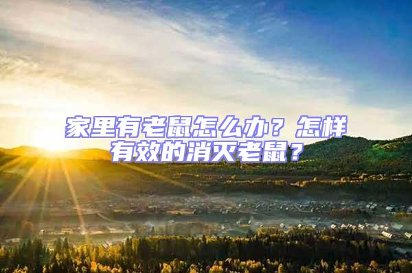 家里有老鼠怎么辦?怎樣有效的消滅老鼠?