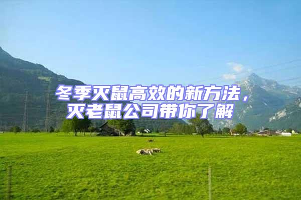 冬季滅鼠高效的新方法，滅老鼠公司帶你了解