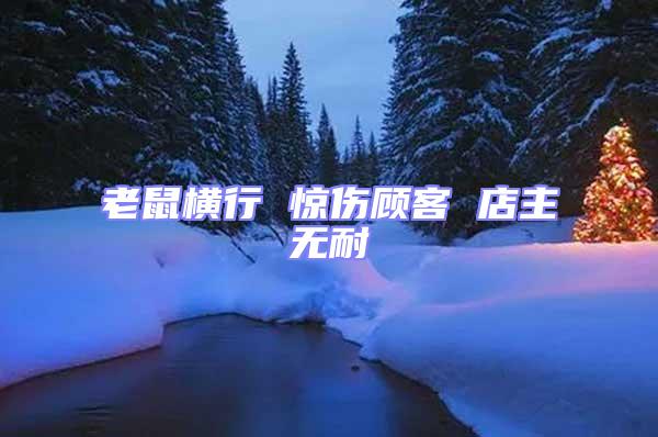 老鼠橫行 驚傷顧客 店主無(wú)耐