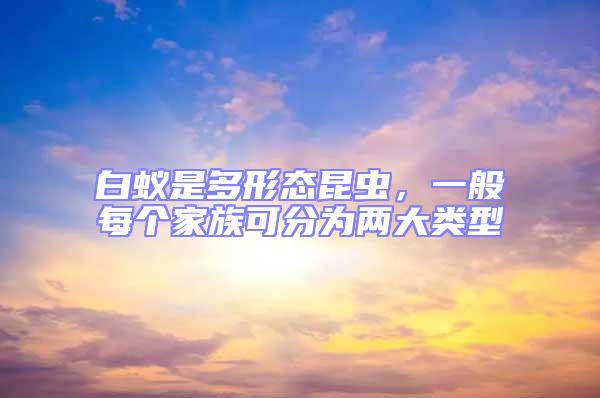 白蟻是多形態昆蟲,一般每個家族可分為兩大類型