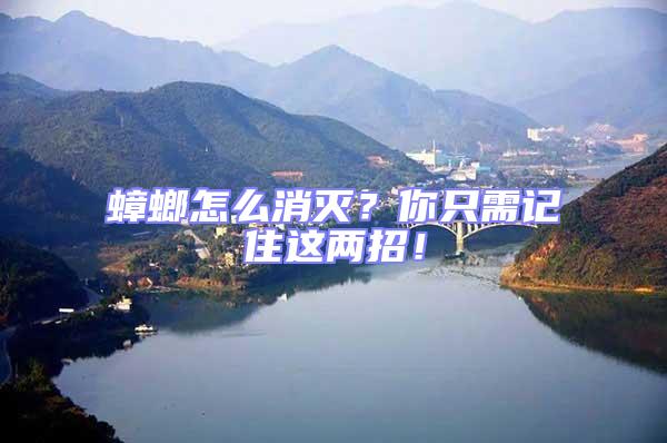 蟑螂怎么消滅？你只需記住這兩招！
