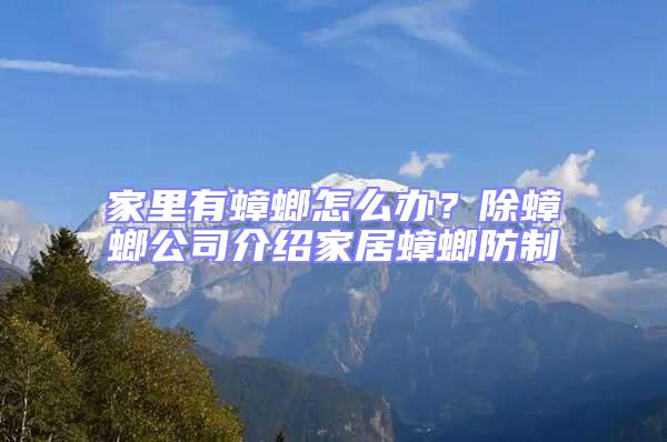 家里有蟑螂怎么辦?除蟑螂公司介紹家居蟑螂防制