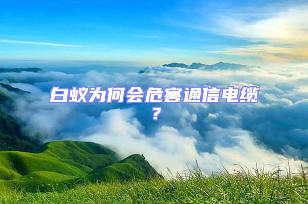 白蟻為何會危害通信電纜？