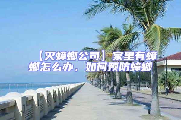 【滅蟑螂公司】家里有蟑螂怎么辦,如何預(yù)防蟑螂