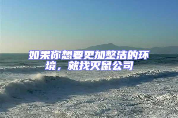 如果你想要更加整潔的環境,就找滅鼠公司