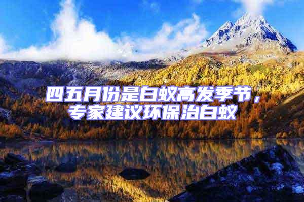 四五月份是白蟻高發(fā)季節(jié)，專家建議環(huán)保治白蟻