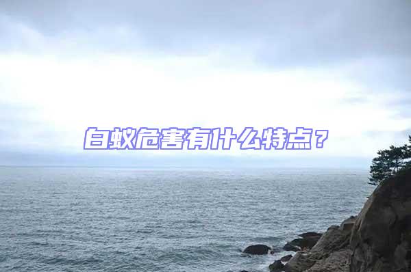 白蟻危害有什么特點？