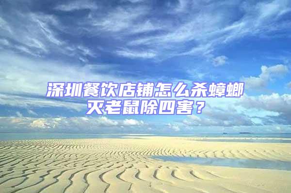深圳餐飲店鋪怎么殺蟑螂滅老鼠除四害?