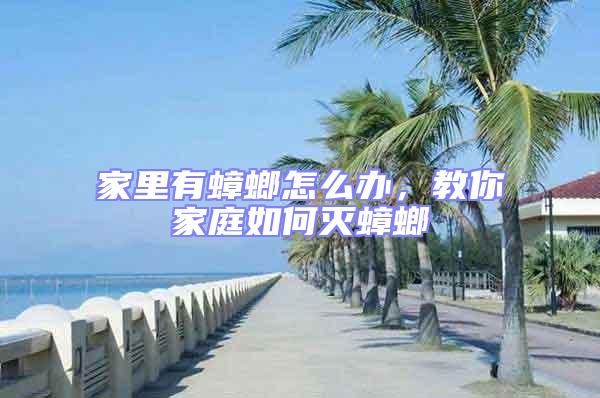 家里有蟑螂怎么辦，教你家庭如何滅蟑螂