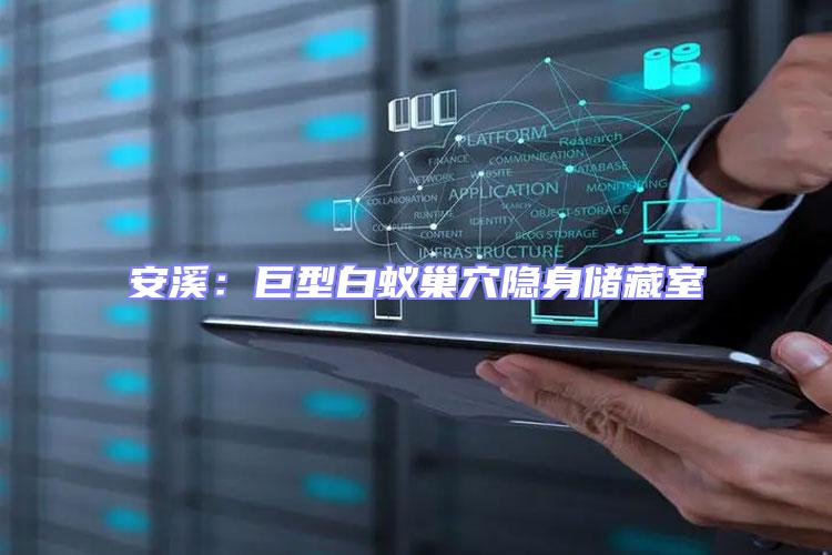 安溪:巨型白蟻巢穴隱身儲藏室