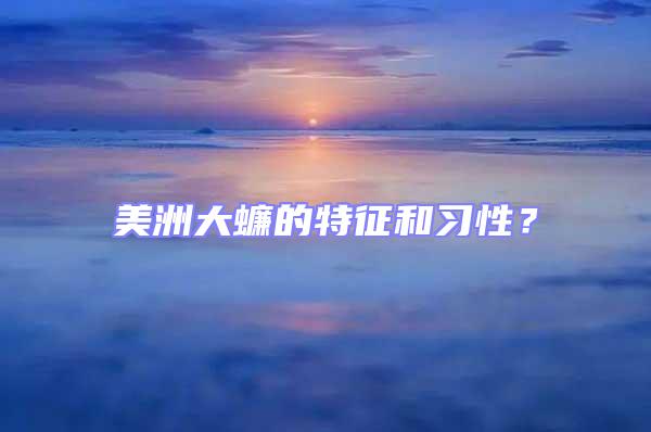 美洲大蠊的特征和習性?