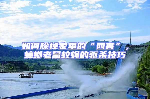 如何除掉家里的“四害”，蟑螂老鼠蚊蠅的驅殺技巧