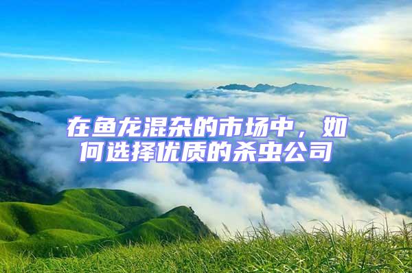 在魚龍混雜的市場中,如何選擇優質的殺蟲公司