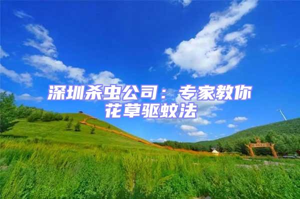 深圳殺蟲公司:專家教你花草驅(qū)蚊法