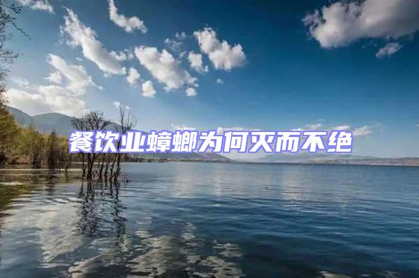 餐飲業(yè)蟑螂為何滅而不絕