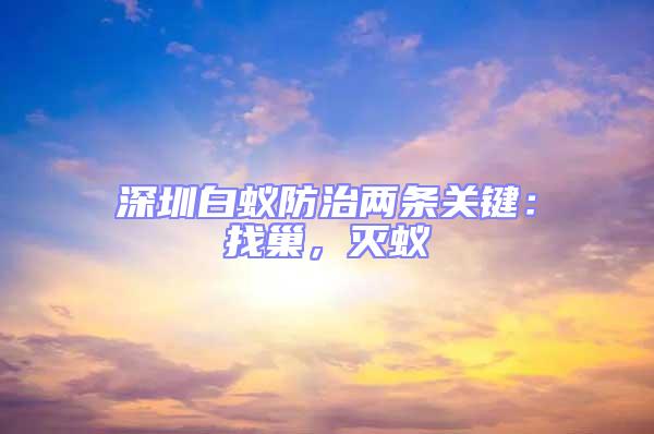 深圳白蟻防治兩條關(guān)鍵：找巢，滅蟻