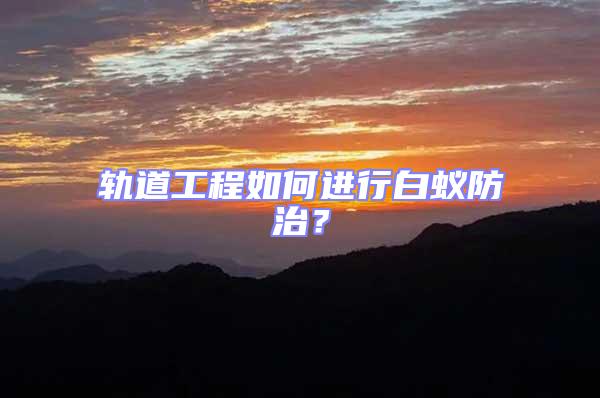 軌道工程如何進行白蟻防治？