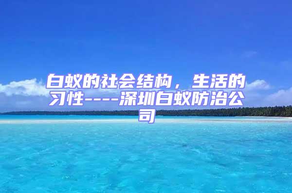 白蟻的社會結構,生活的習性----深圳白蟻防治公司
