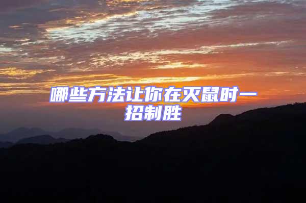 哪些方法讓你在滅鼠時(shí)一招制勝