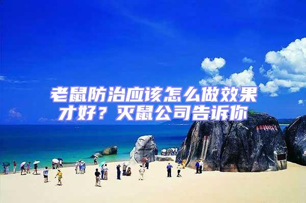 老鼠防治應該怎么做效果才好?滅鼠公司告訴你