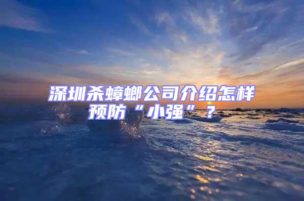 深圳殺蟑螂公司介紹怎樣預(yù)防“小強(qiáng)”?