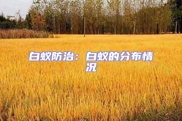 白蟻防治:白蟻的分布情況