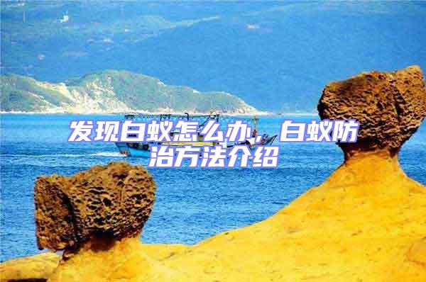 發現白蟻怎么辦,白蟻防治方法介紹