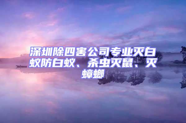 深圳除四害公司專業(yè)滅白蟻防白蟻、殺蟲滅鼠、滅蟑螂