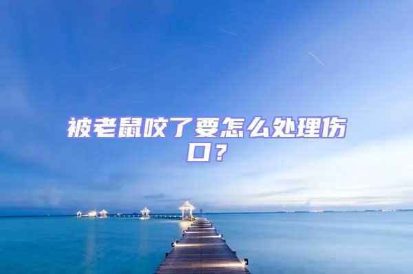 被老鼠咬了要怎么處理傷口？