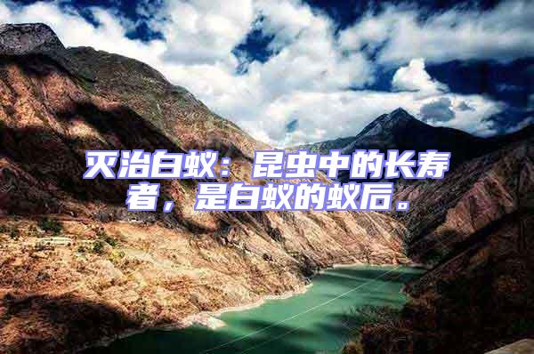 滅治白蟻:昆蟲中的長(zhǎng)壽者,是白蟻的蟻后。