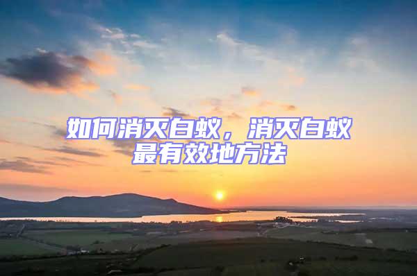 如何消滅白蟻,消滅白蟻最有效地方法