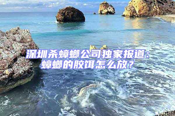 深圳殺蟑螂公司獨家報道：蟑螂的膠餌怎么放？