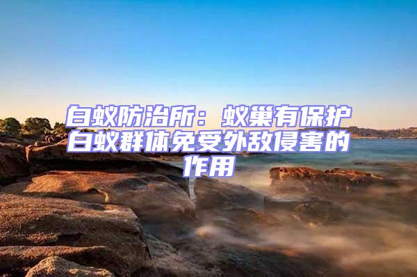 白蟻防治所:蟻巢有保護白蟻群體免受外敵侵害的作用