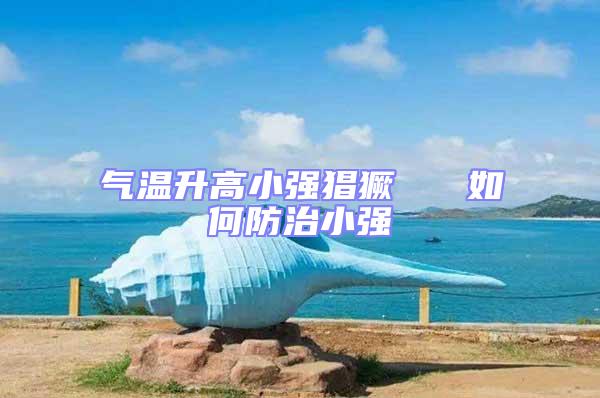 氣溫升高小強(qiáng)猖獗   如何防治小強(qiáng)