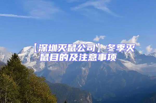 【深圳滅鼠公司】冬季滅鼠目的及注意事項(xiàng)